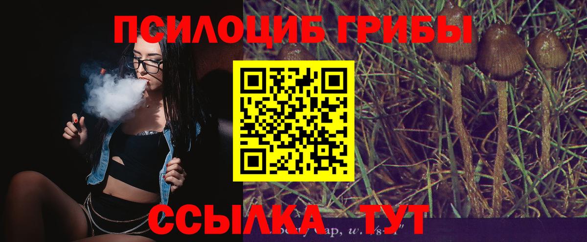 Минеральные Воды  Псилоцибиновые грибы Psilocybe  Вход с VPN 